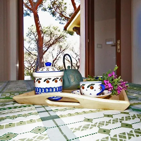 Giada * 카폴리베리