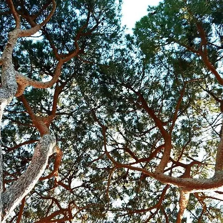 Giada Capoliveri (Isola d'Elba)
