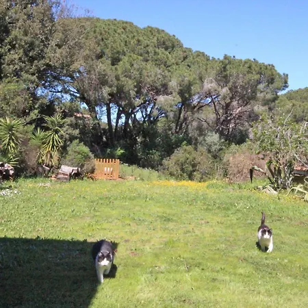 Giada Casa vacanze *