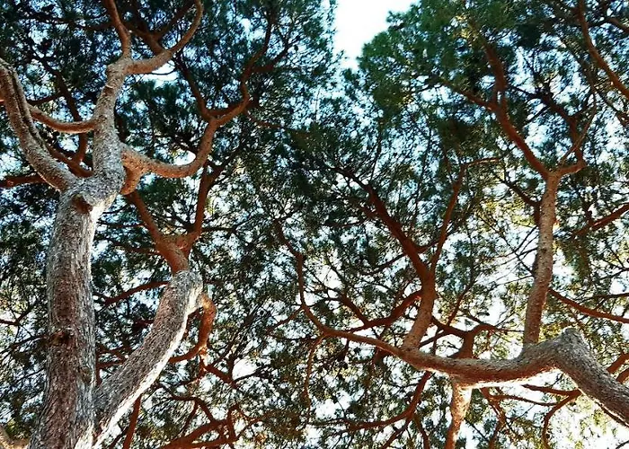 Giada Capoliveri (Isola d'Elba)