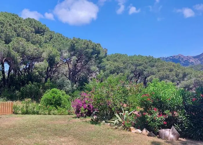 Giada Capoliveri (Isola d'Elba)